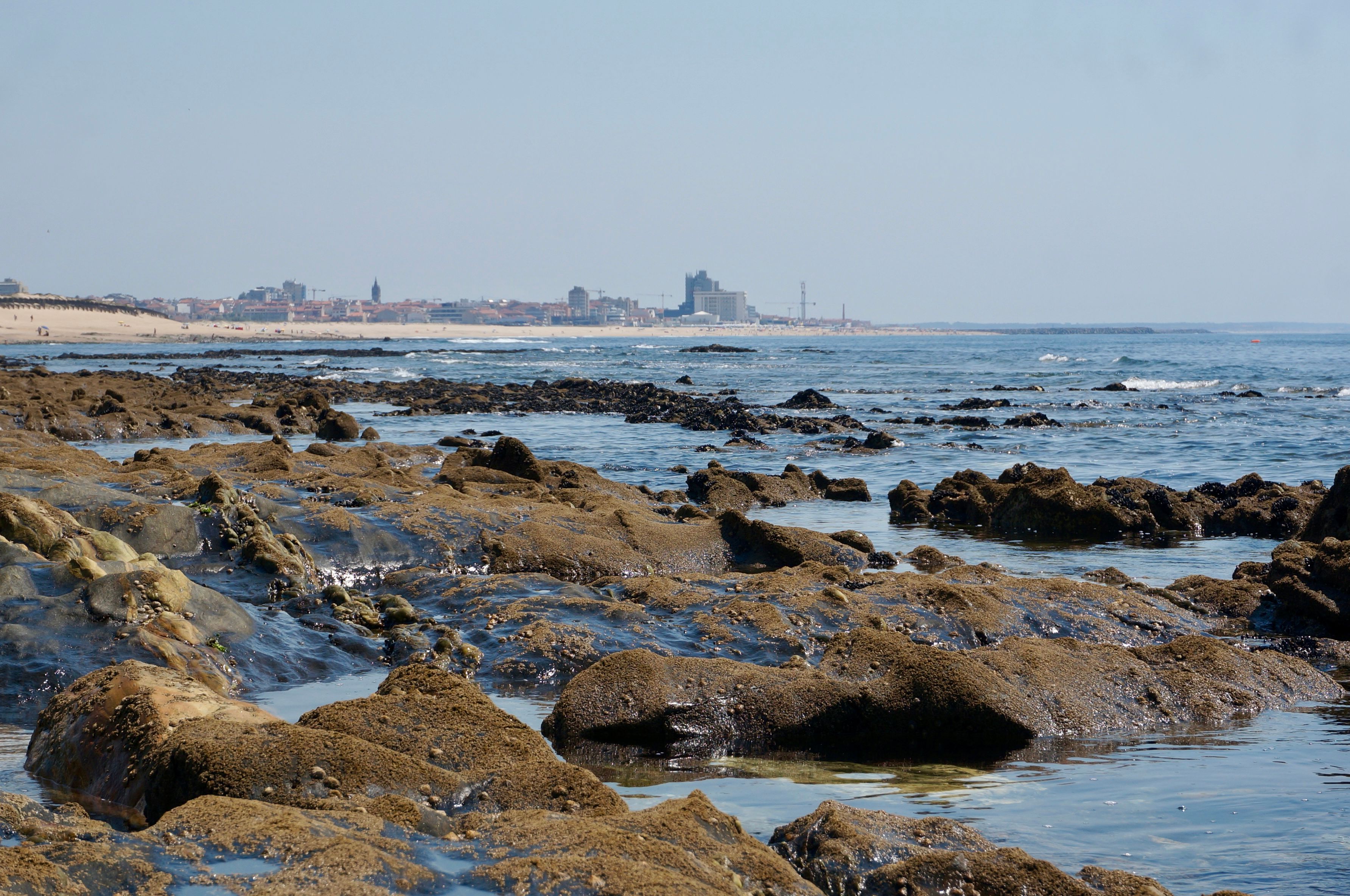 A rectangular seawater tidal pool set into rocks below a row of painted beach huts on the False Bay coast