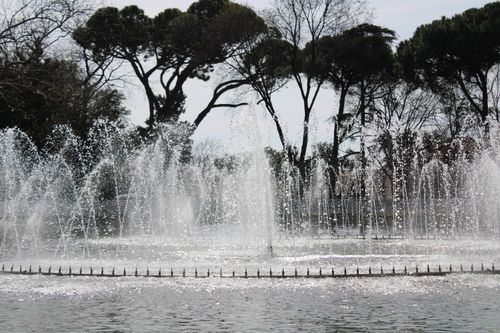 Free Captivating outdoor water fountain surrounded by lush trees on a sunny day. Stock Photo