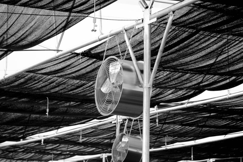 Ventilateur industriel installé sous serre