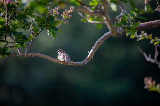A sparrow resting on a tree branch surrounded by lush, sunlit greenery.