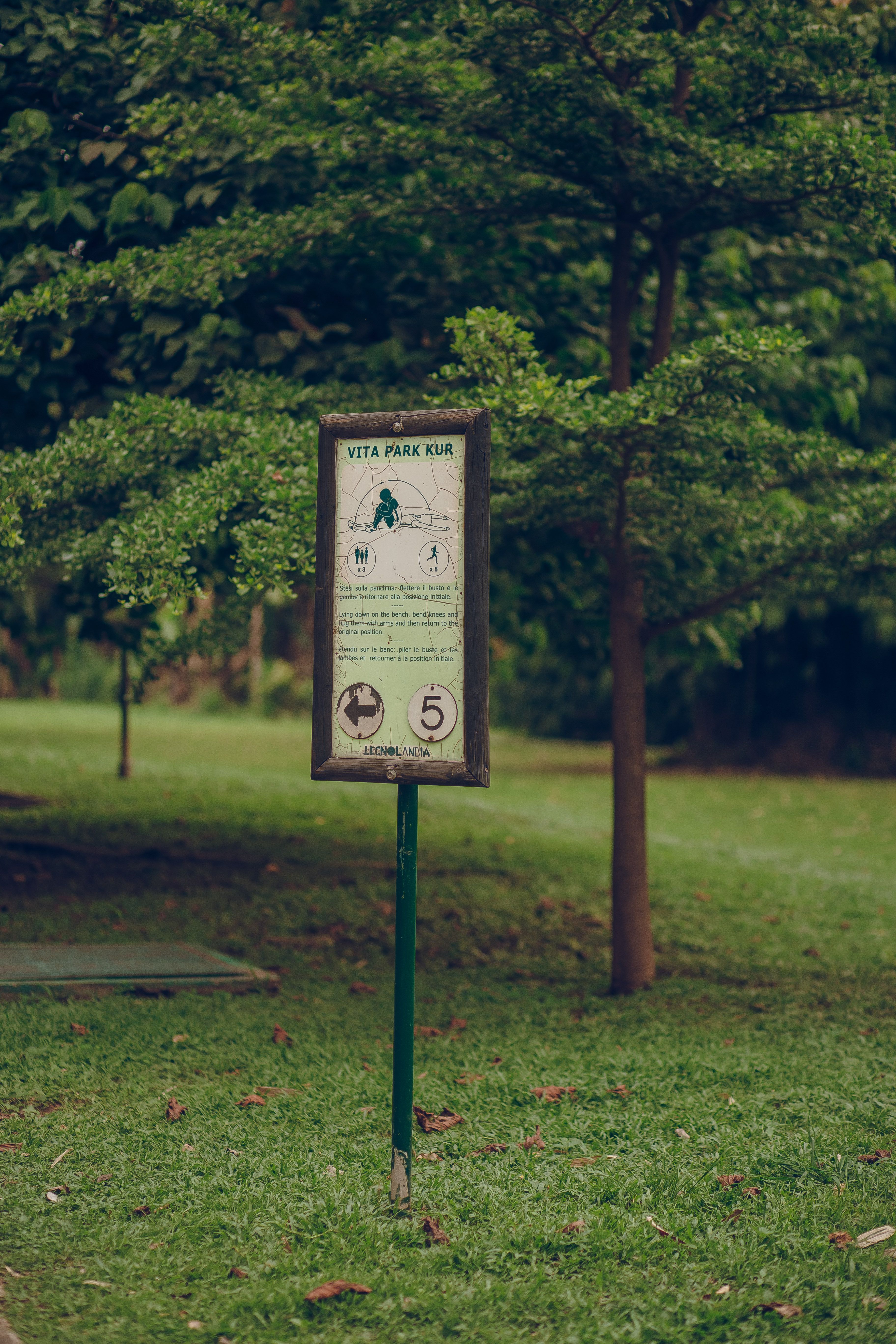Signpost in Lush Green Park Setting