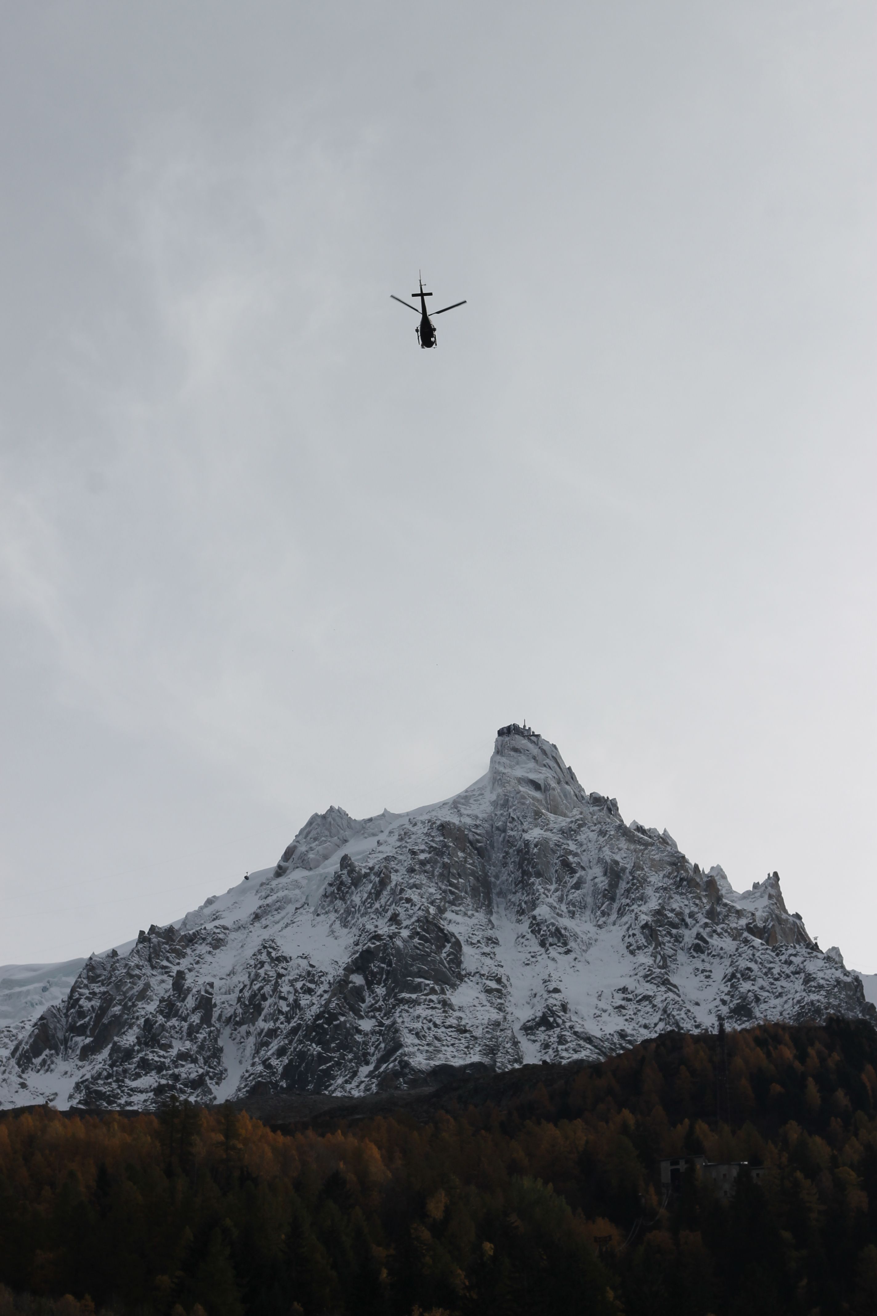 Do Dham Same-Day Helicopter Tour — Kedarnath & Badrinath