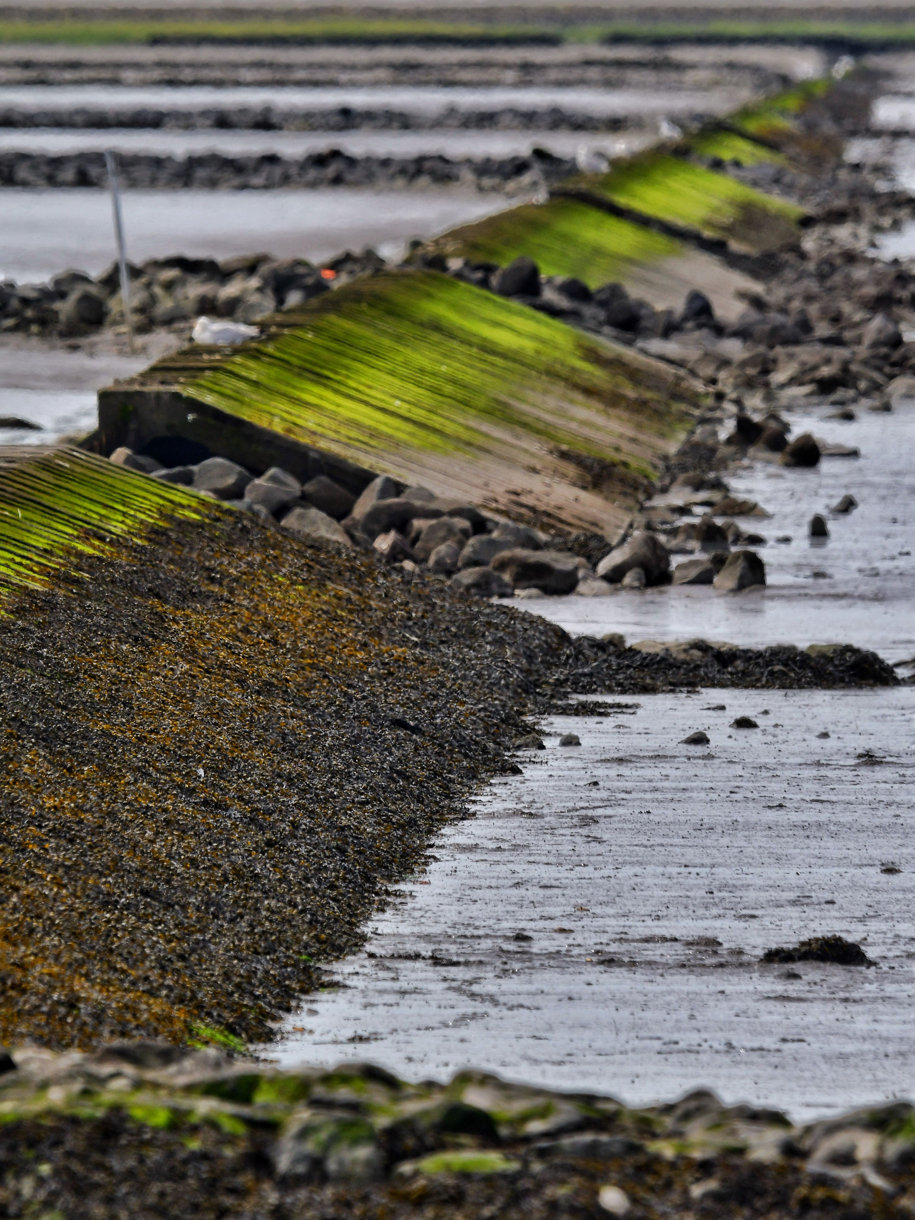 Eroded breakwater with green algae at low tide, showcasing industrial coastal scene.