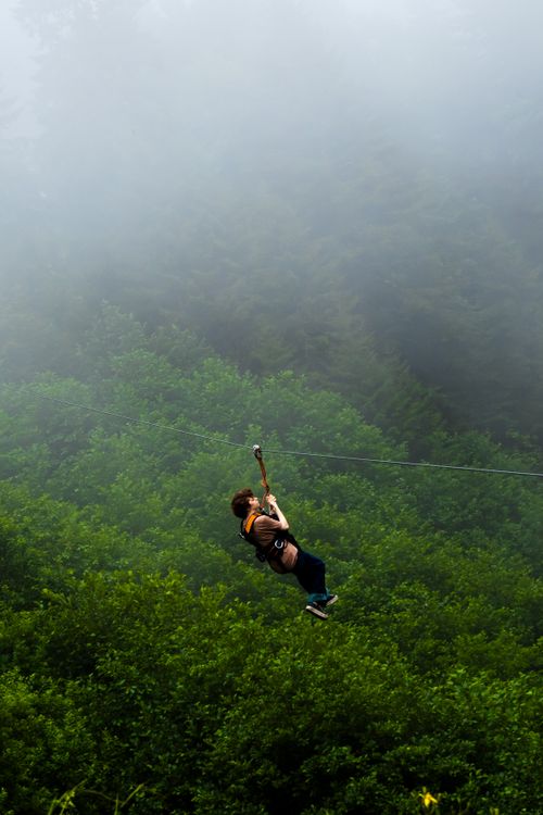 Adventurous Zip Line in Misty Rize Forest · Free Stock Photo