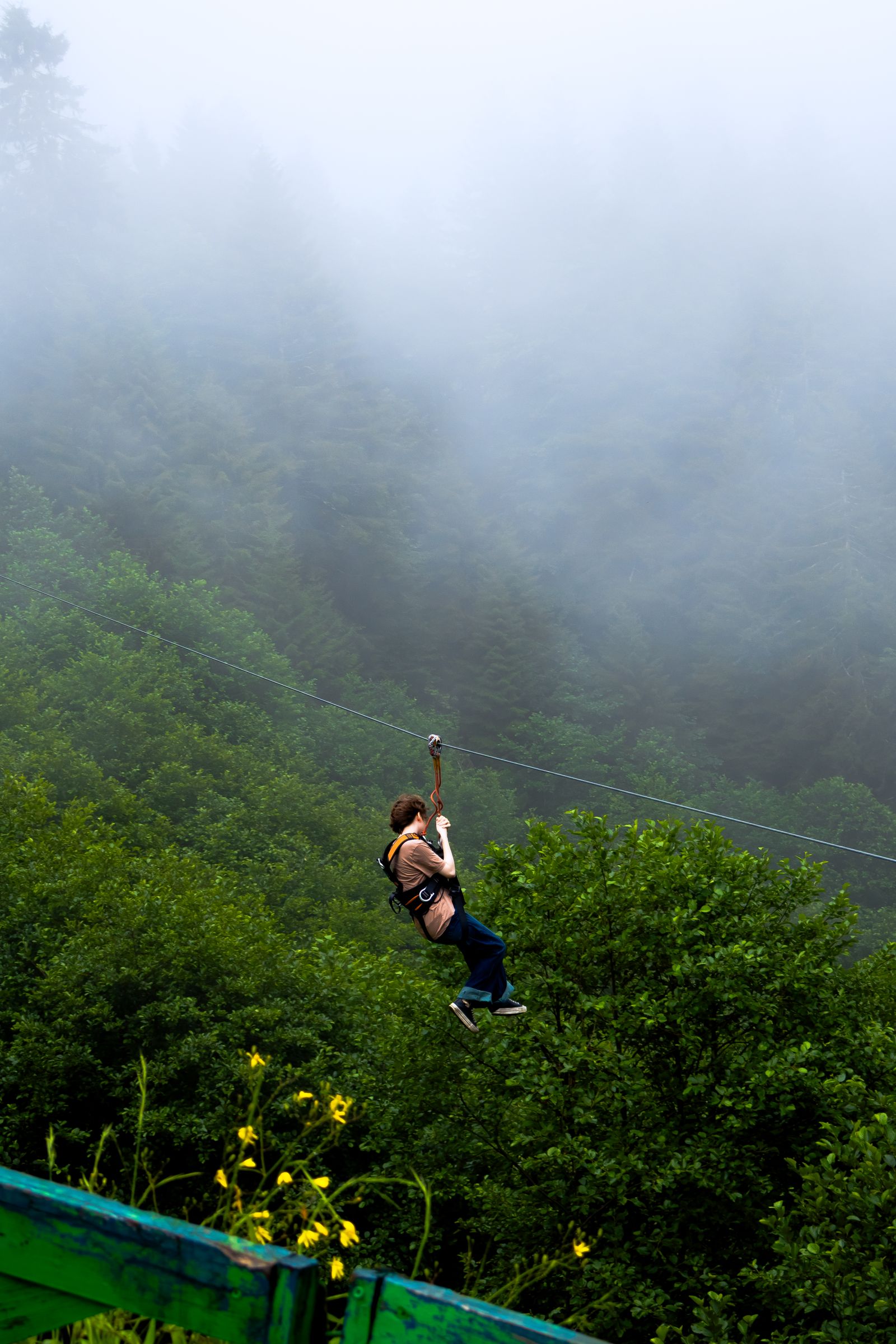 Zipline Adventures