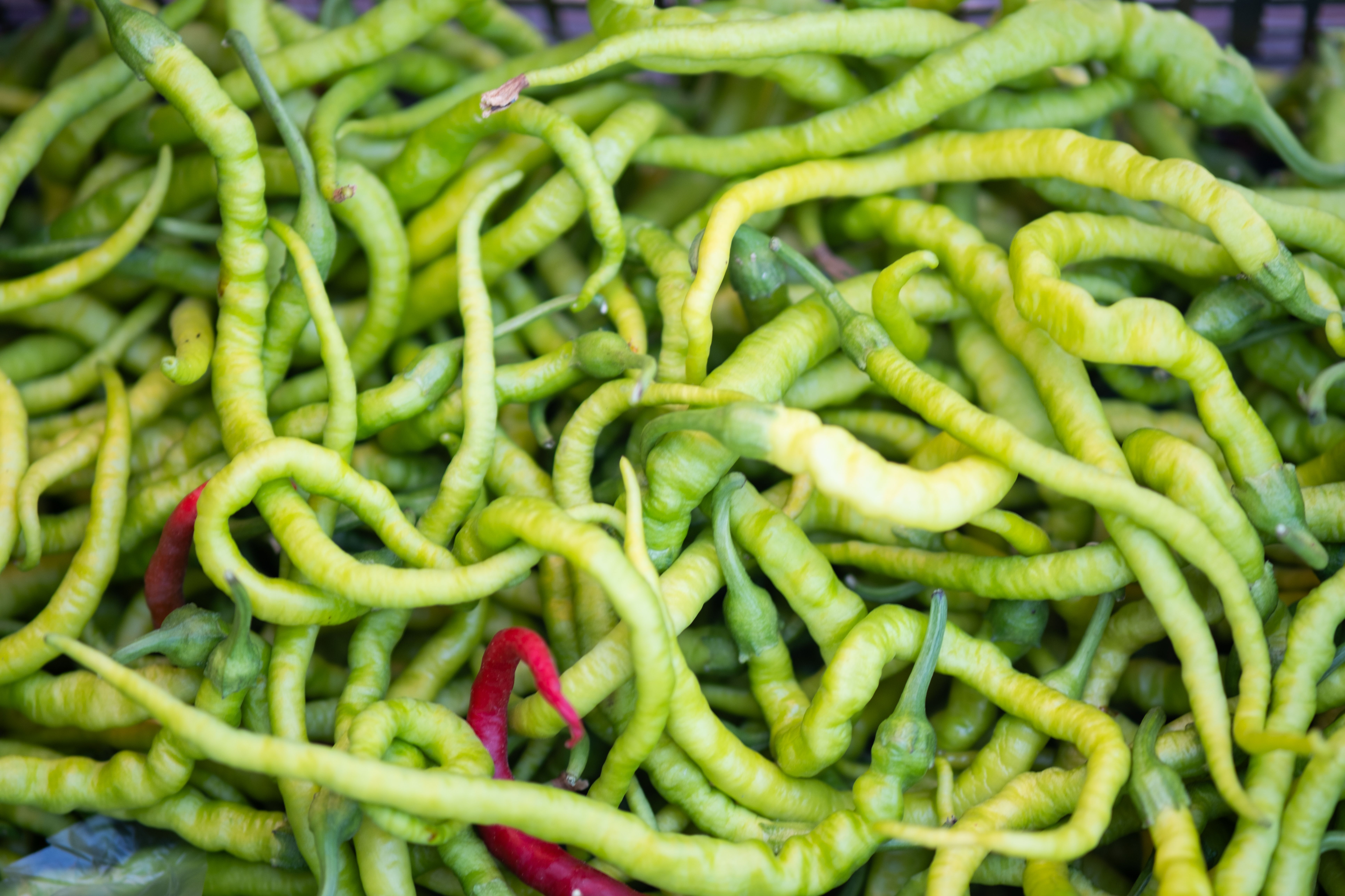What Kind of Peppers Are Sport Peppers? - Chef's Resource