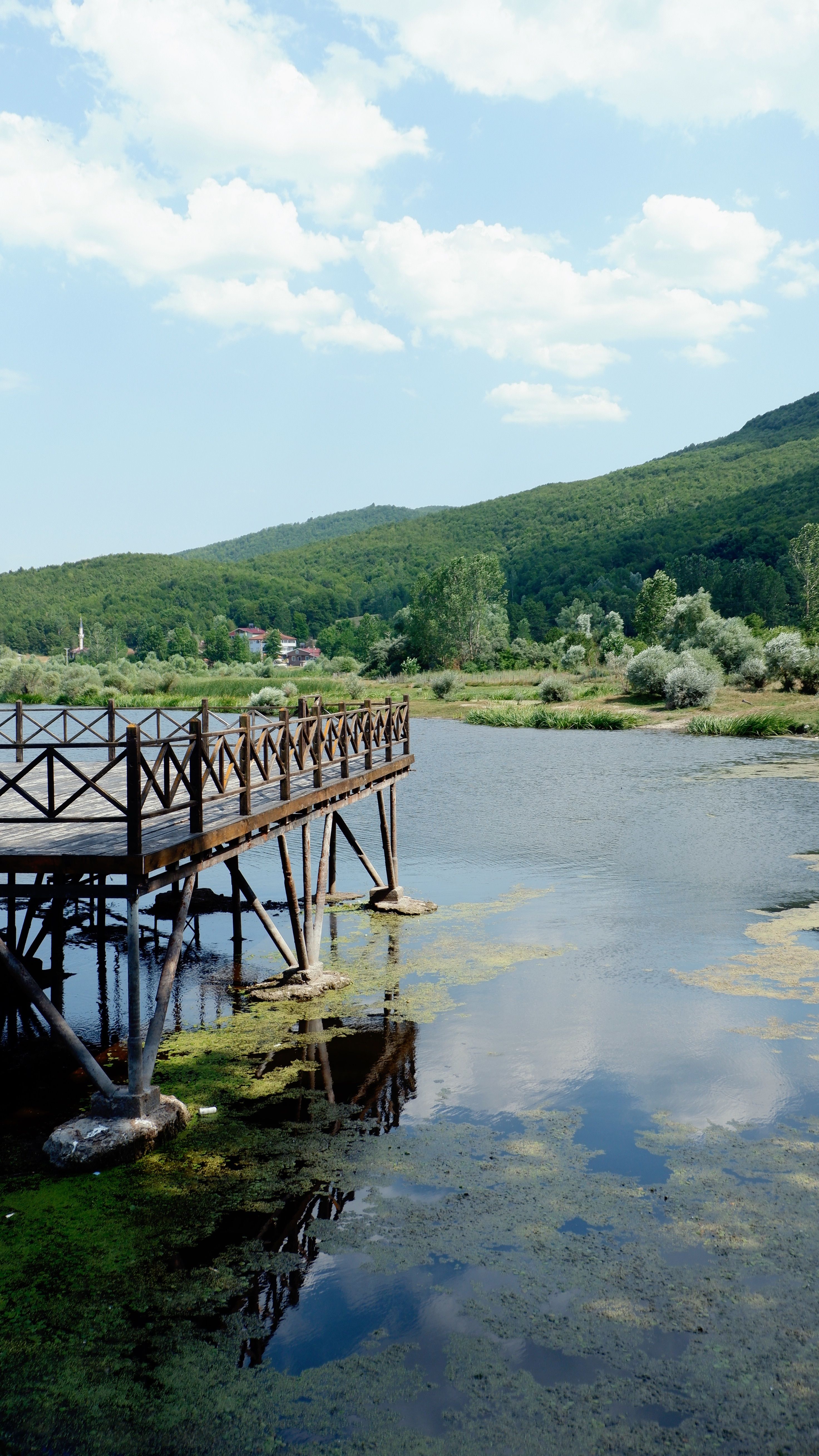 Serene view of a wooden pier extending over a calm lake with lush hills in the background.