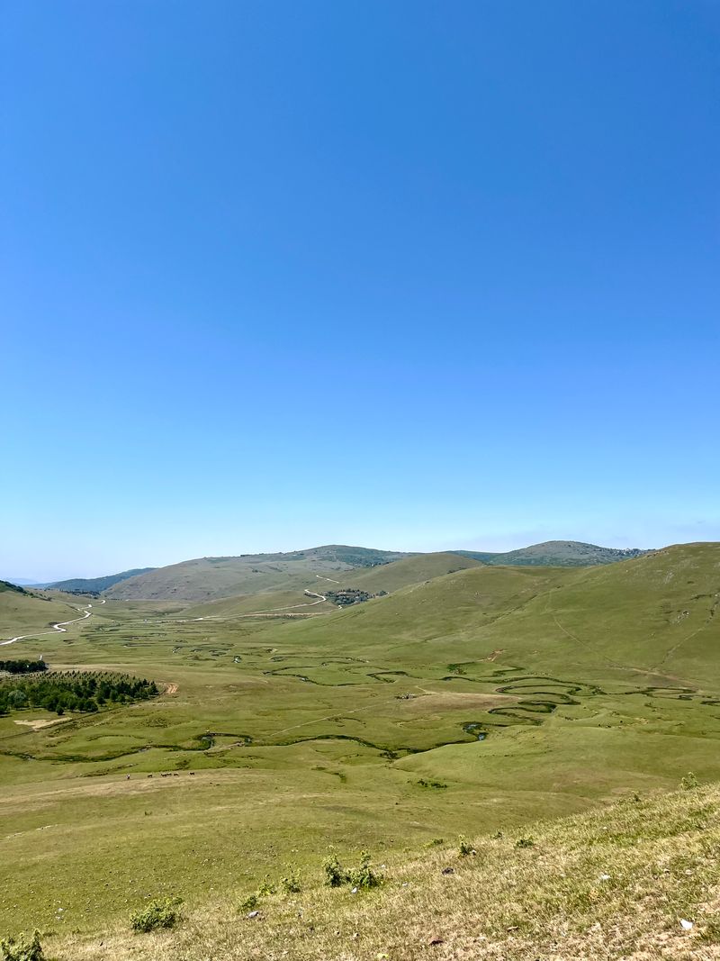 Expansive green plateau landscape with meandering streams under bright blue sky