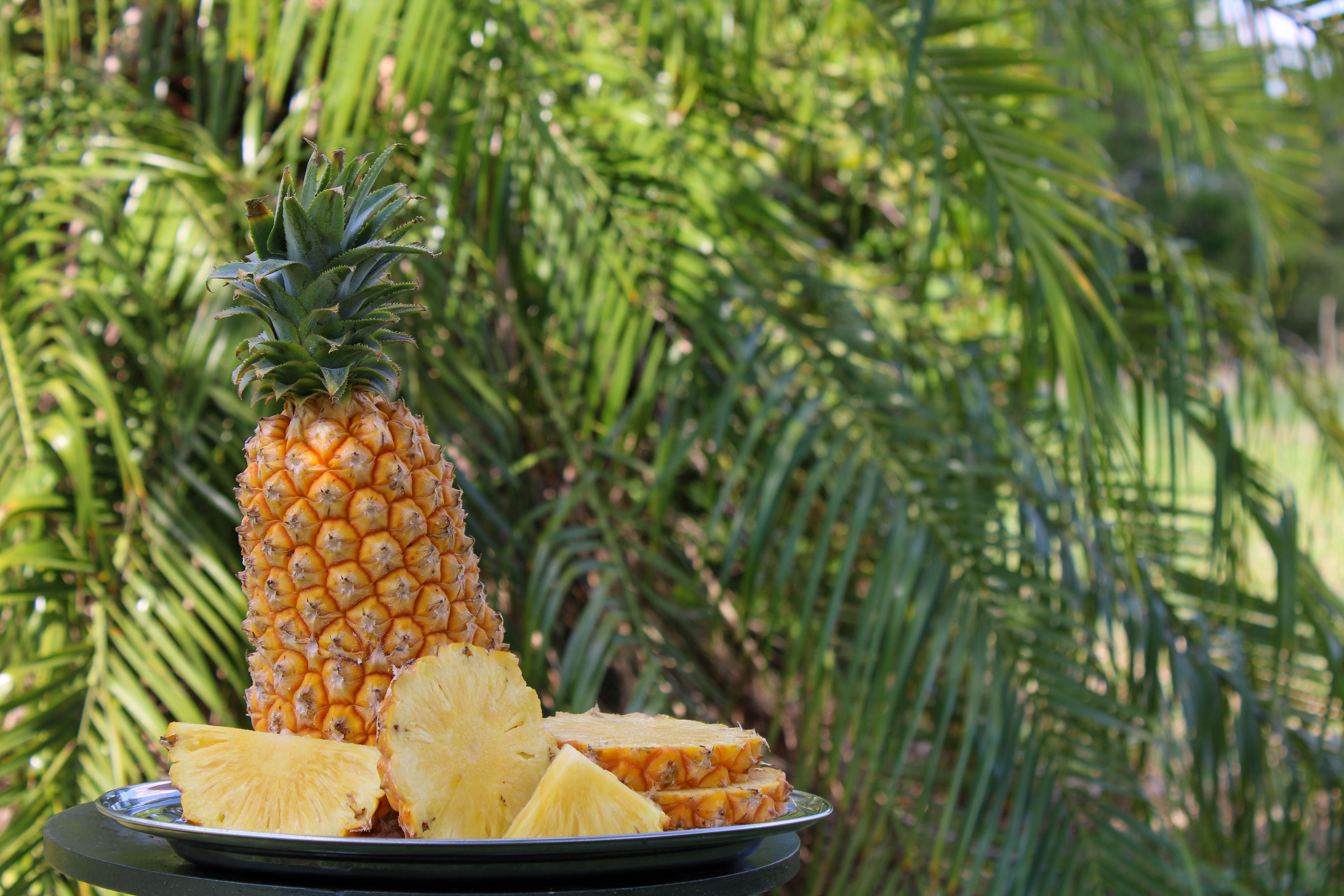 10 Easy Recipes That Start With Hawaiian Rolls — Photo by Nelli Neufeld on Pexels