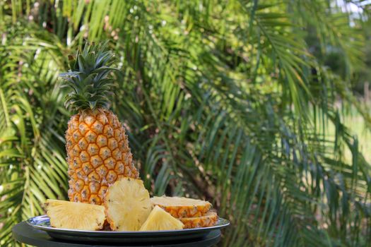 A whole pineapple with slices on a plate set against lush green foliage in Bolivia.