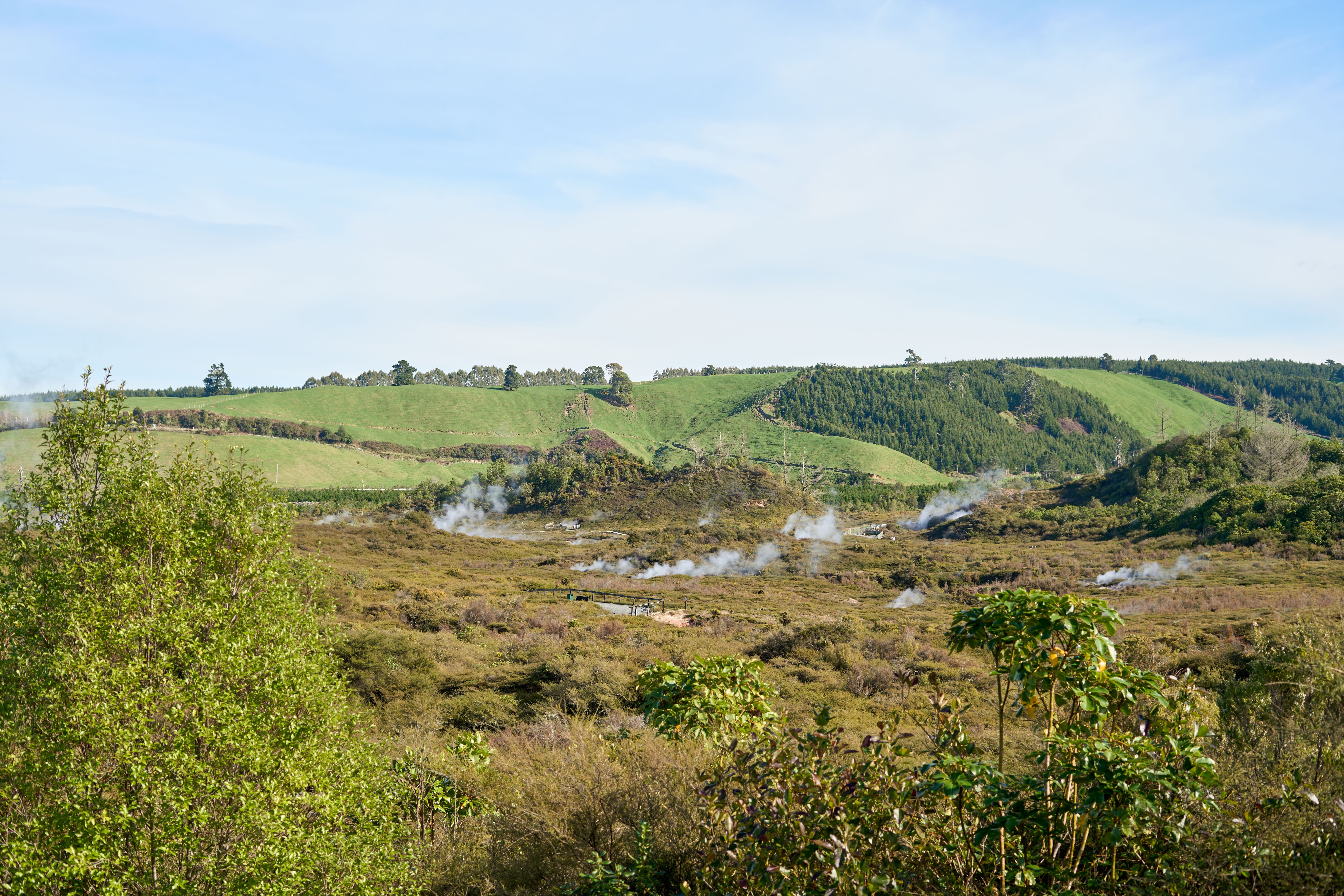 6. Te Puia: Geothermal Activity & Māori Culture
