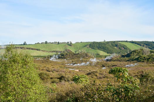 Explore the lush geothermal landscape of Taupō, New Zealand, with steaming vents and vibrant greenery.