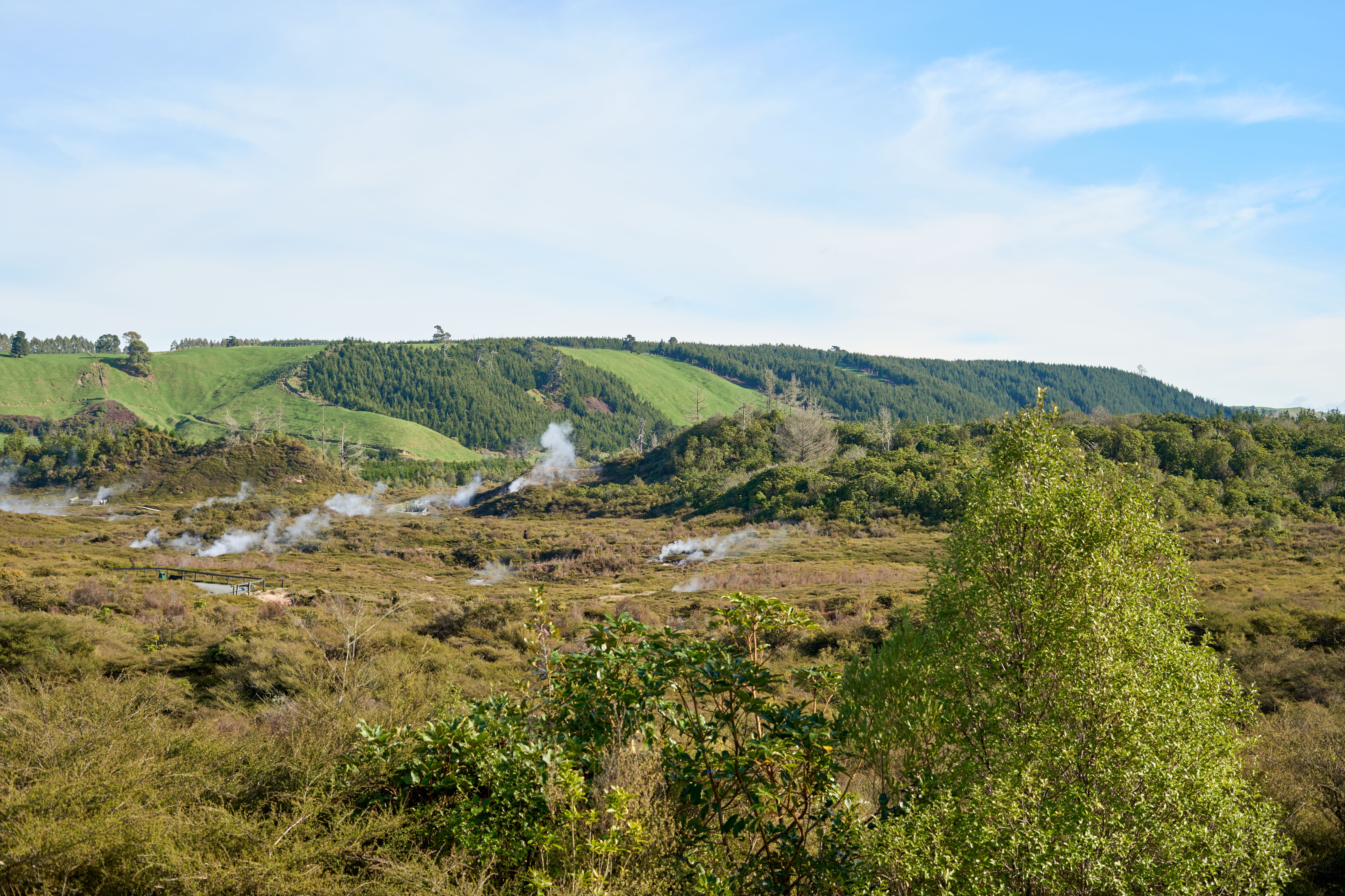 Embracing the Māori Culture