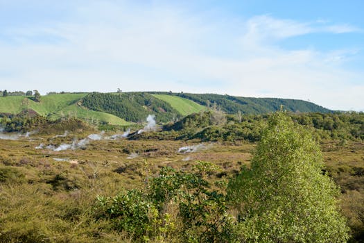 Captivating geothermal landscape in Taupō, New Zealand featuring fumaroles and lush greenery.