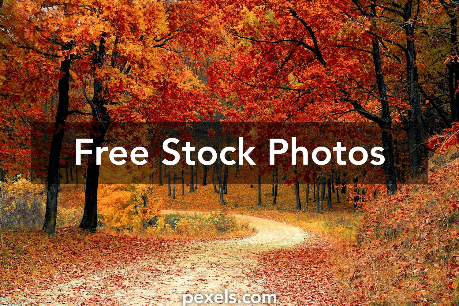 10 000 Best Screen Saver Photos 100 Free Download Pexels Stock Photos