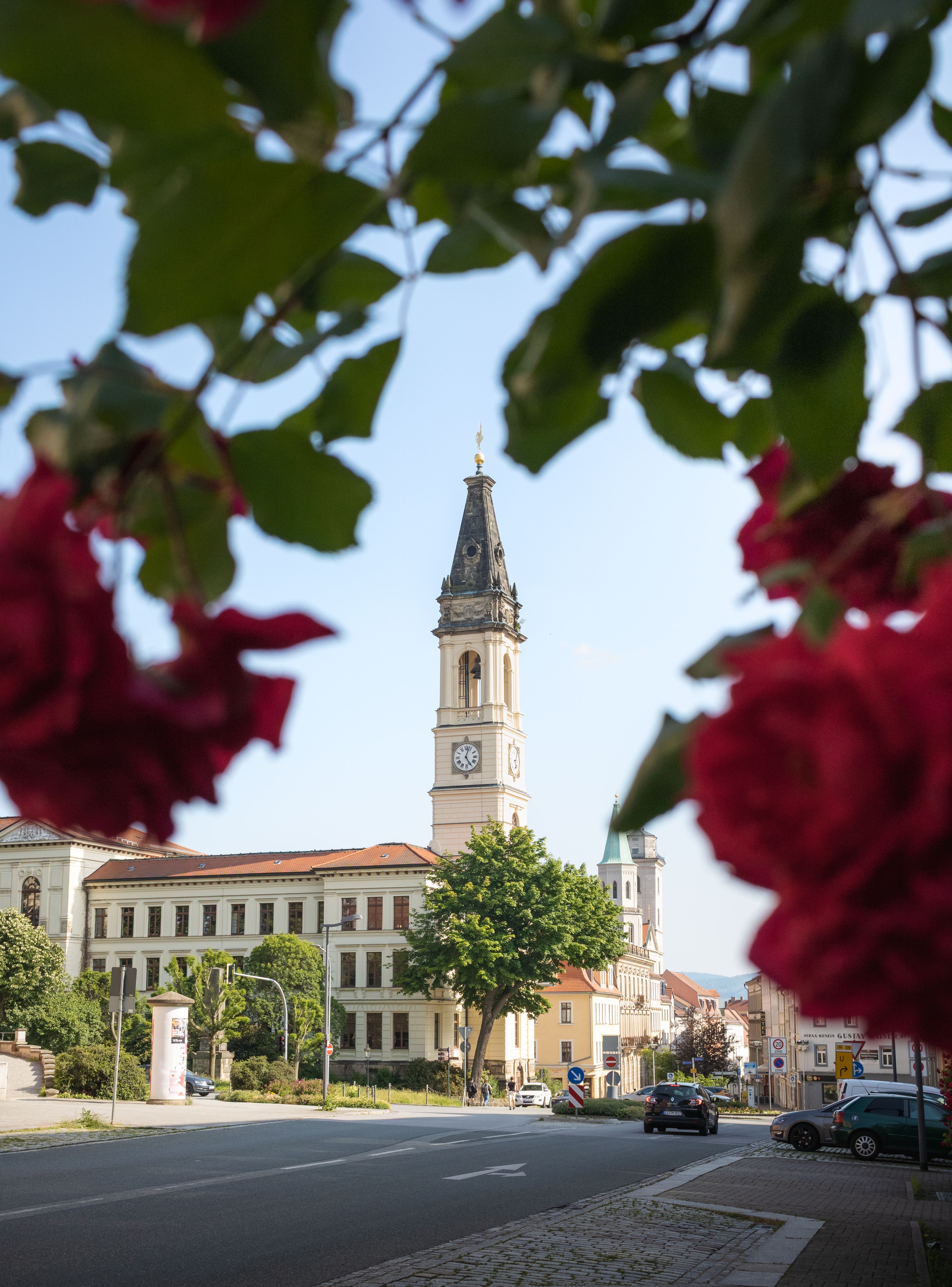 Charming clock tower framed by lush red roses on a sunny day in Zittau, Germany.