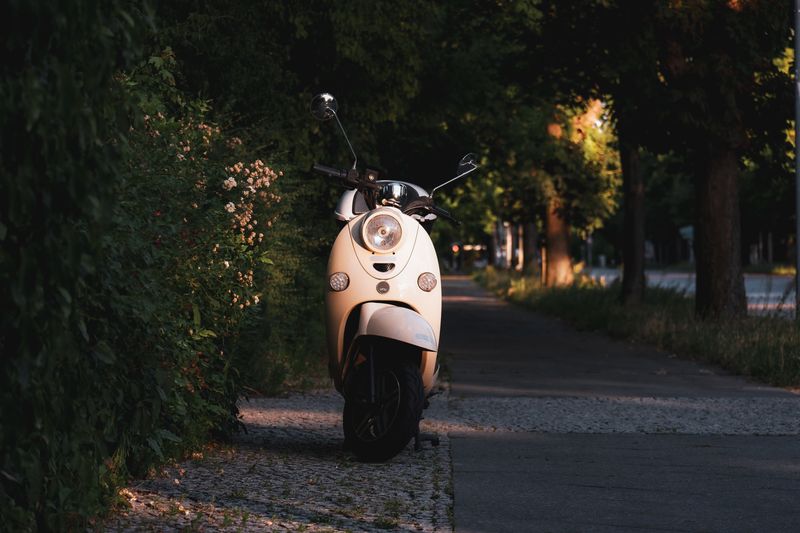 A lone scooter parked on a path in Berlin, surrounded by lush greenery and warm sunlight.