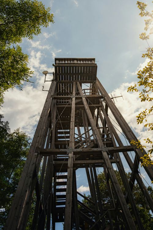 Free A wooden observation tower reaching into the summer sky, surrounded by greenery. Stock Photo