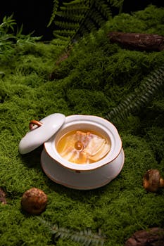 Elegant gourmet soup presented on a lush mossy surface, captured for a rustic culinary look.