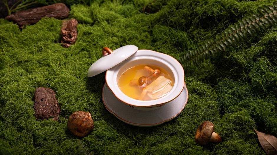 White porcelain bowl with lid containing herbal mushroom soup placed on a lush green mossy forest floor.