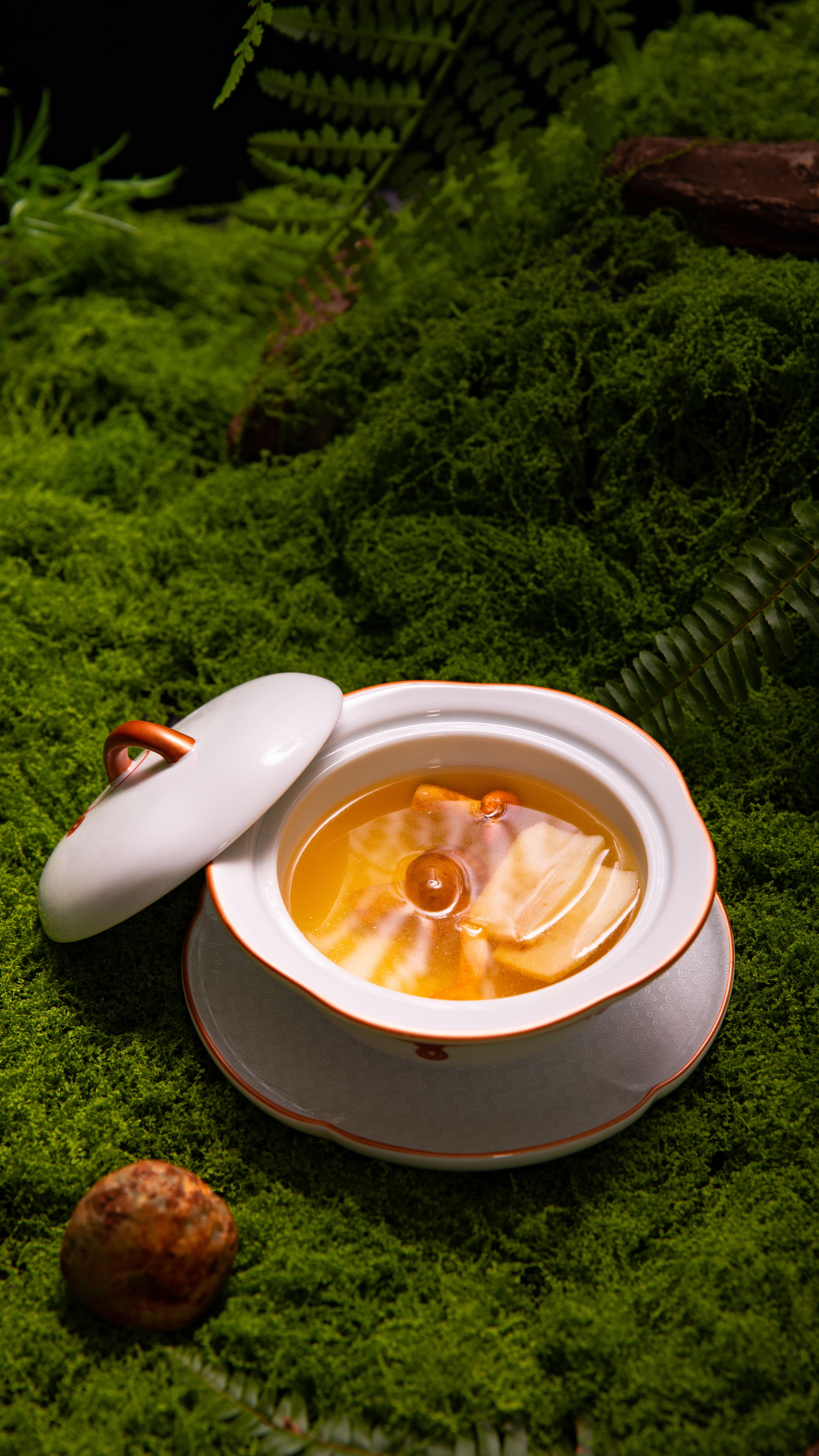 Delicate white porcelain bowl of herbal soup nestled on vibrant green moss in a calming forest setting.