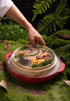 Hand serving gourmet meal with edible mushrooms in a forest setting.