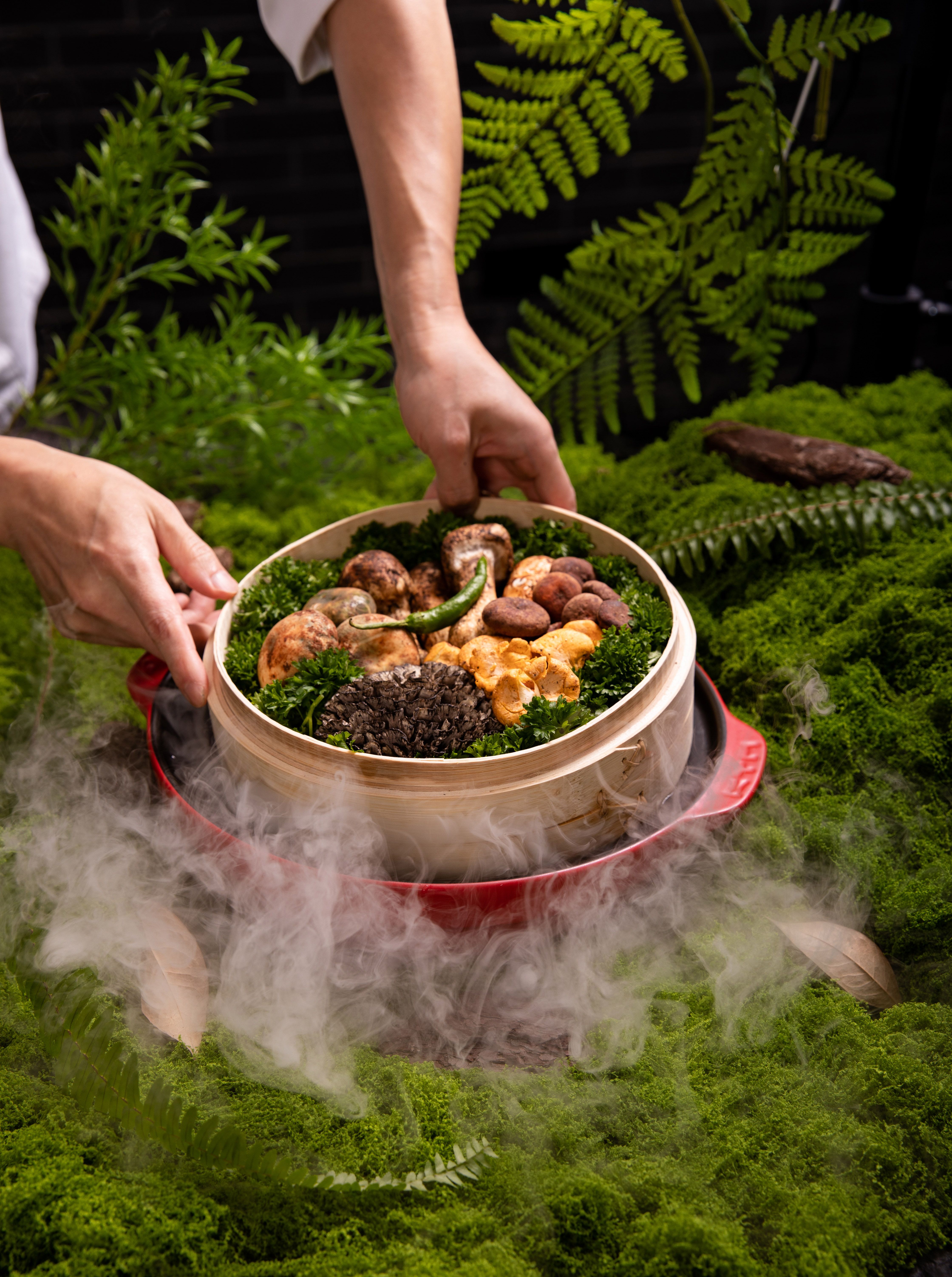 A decorative gourmet mushroom dish with herbs, presented with dramatic smoke and leafy greens.