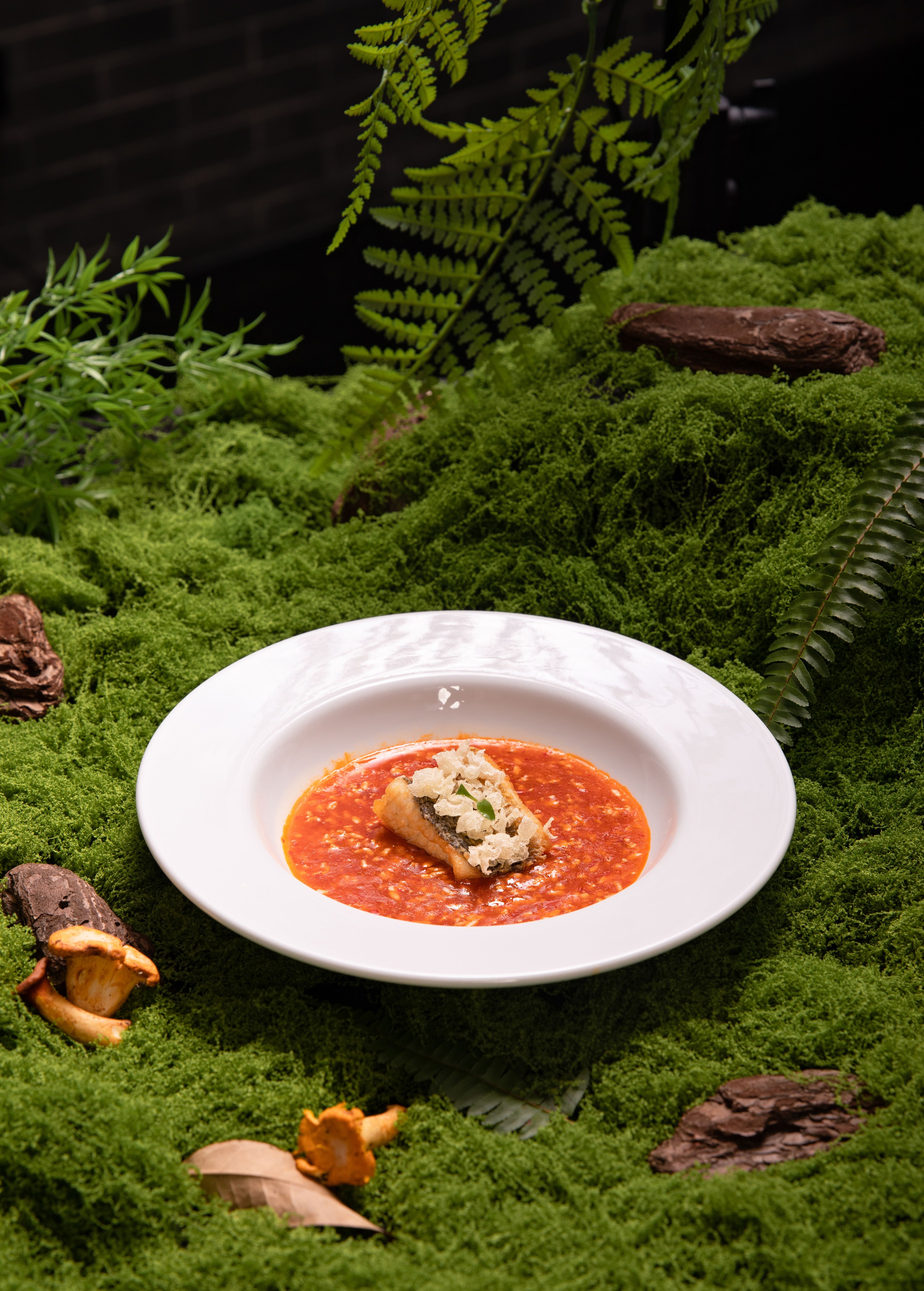 Risoto de Cogumelos