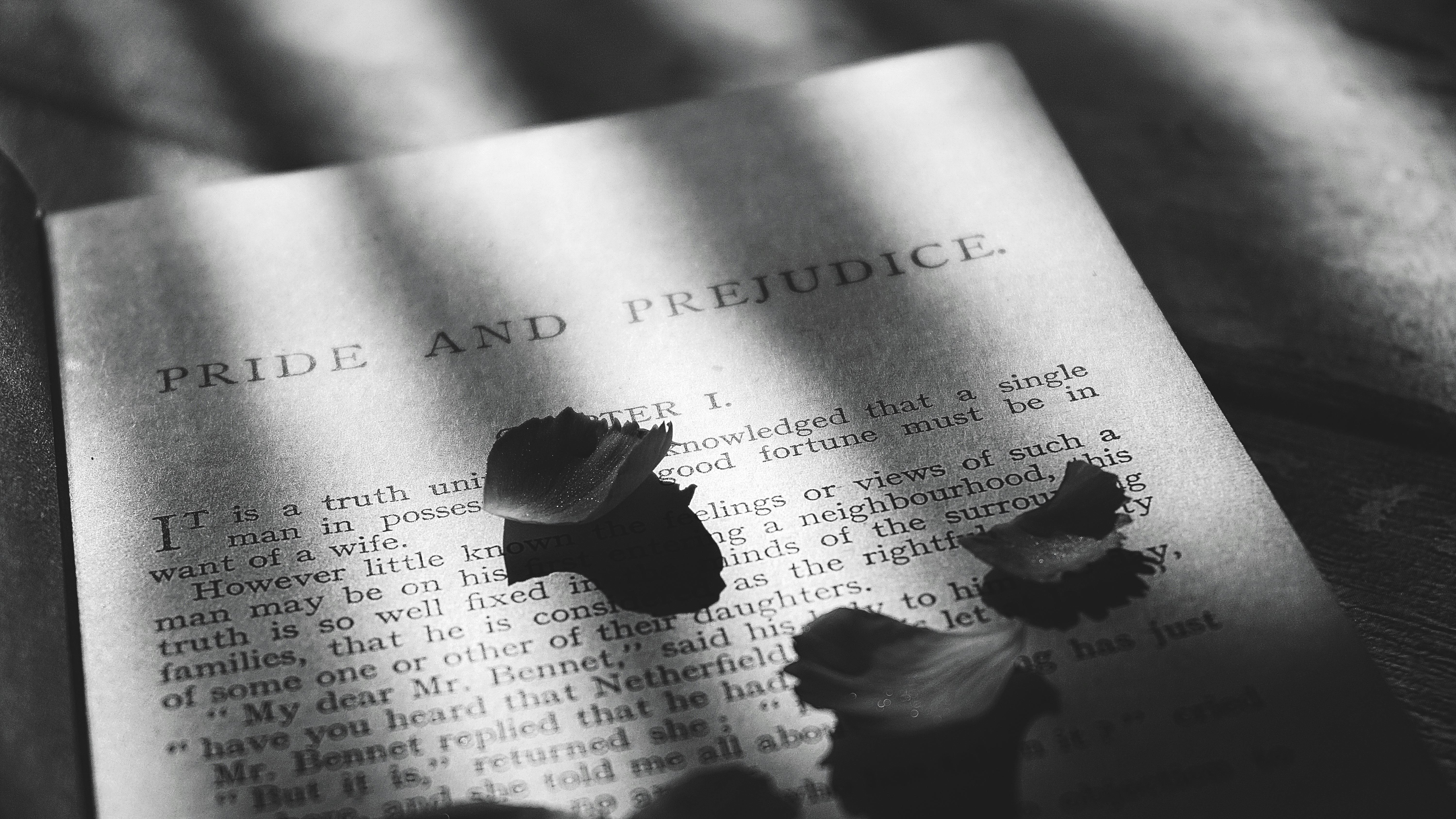 Free stock photo of black and white, book, books