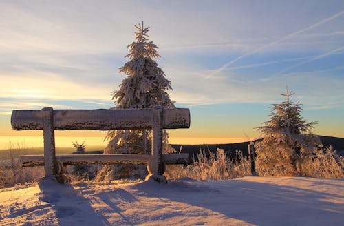 日落期間在山頂上的積雪的長凳
