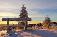 冬日宁静，树木披雪，日出时长凳静立
