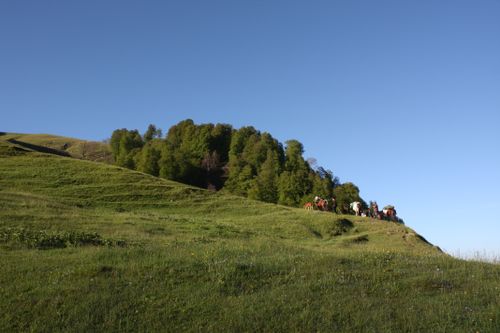 Free Scenic view of a grassy hillside with horses grazing, under a clear blue sky. Stock Photo