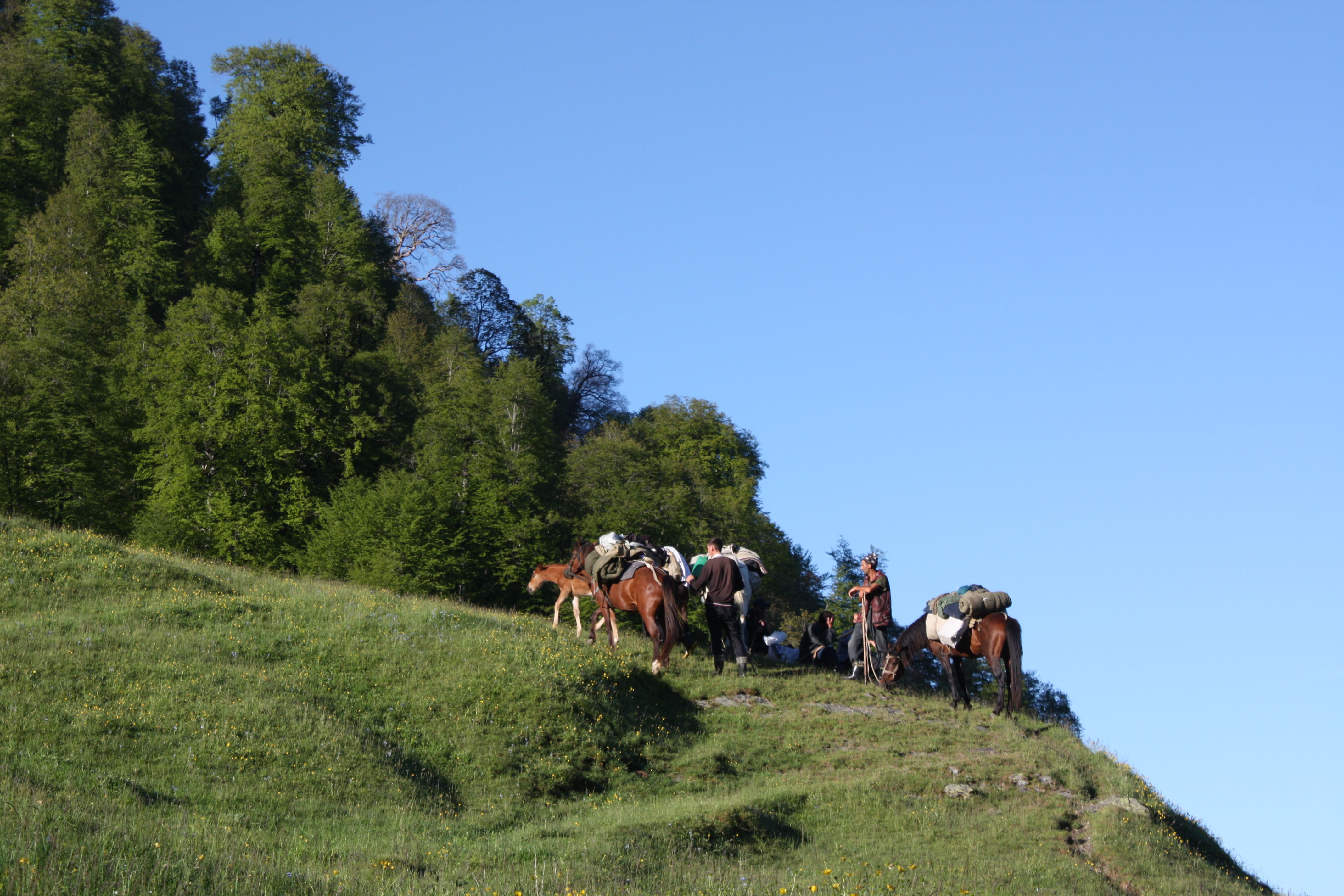 horseback camping trips