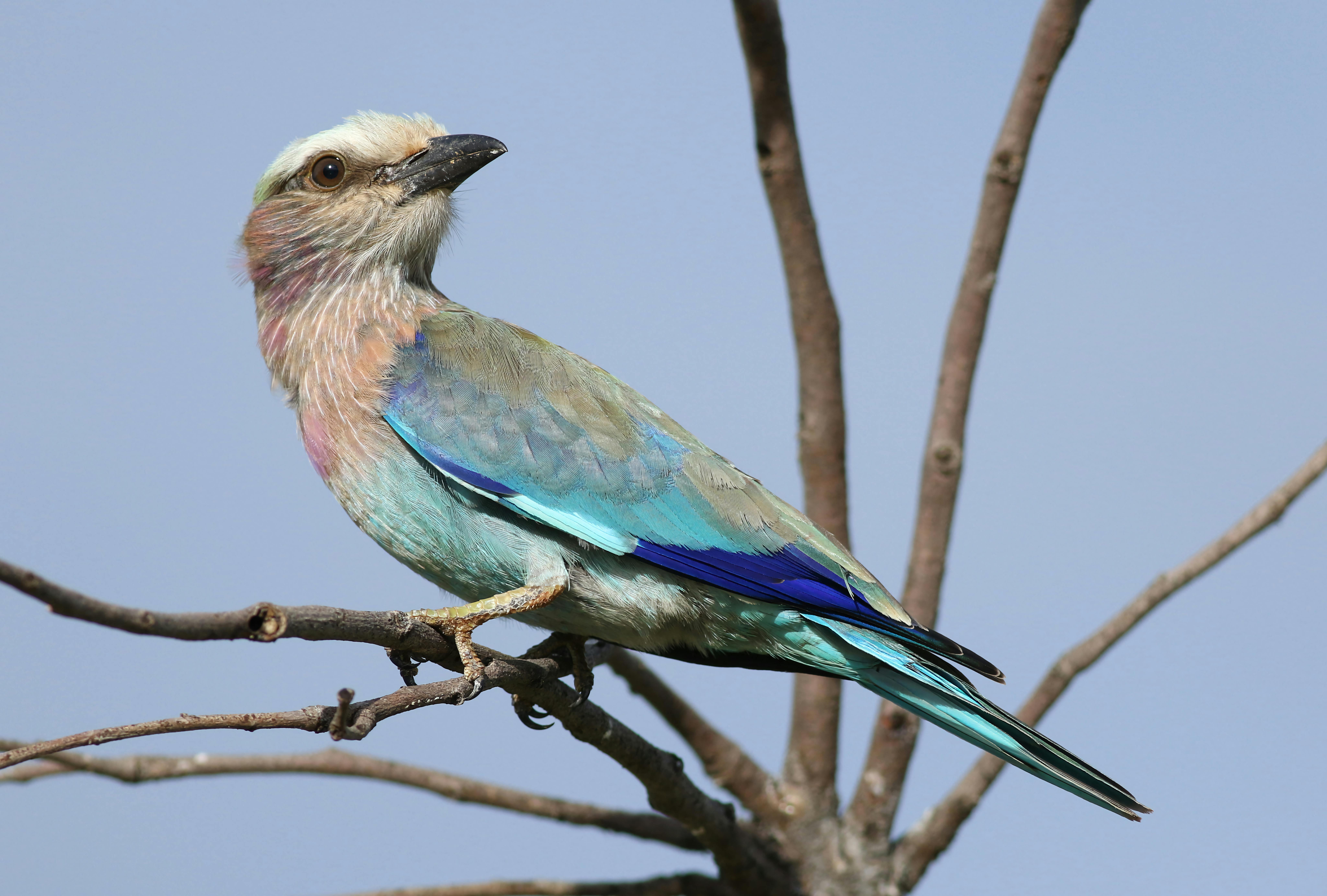 Landmarks in Botswana