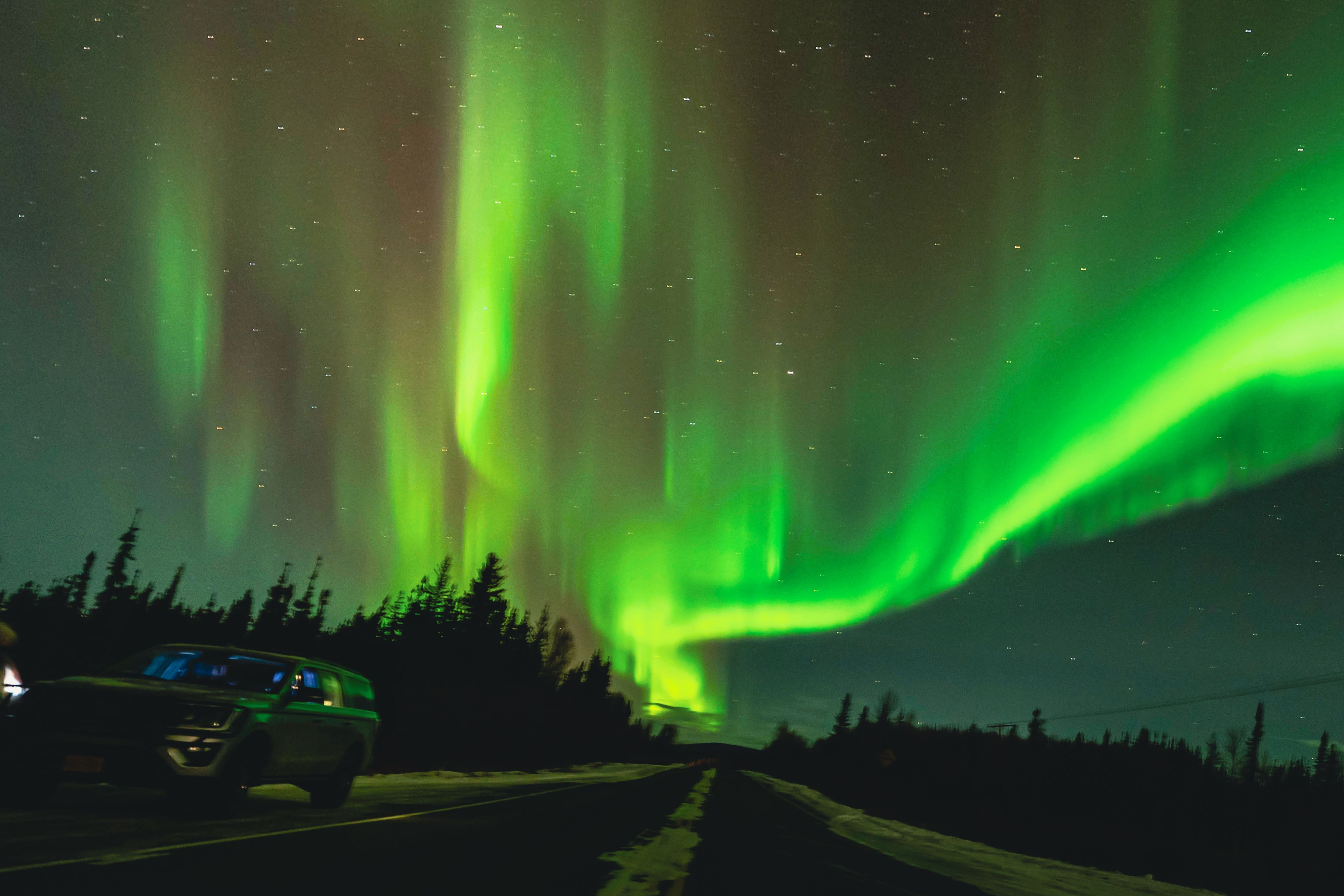 Stunning Aurora Borealis Over Forest Road · Free Stock Photo