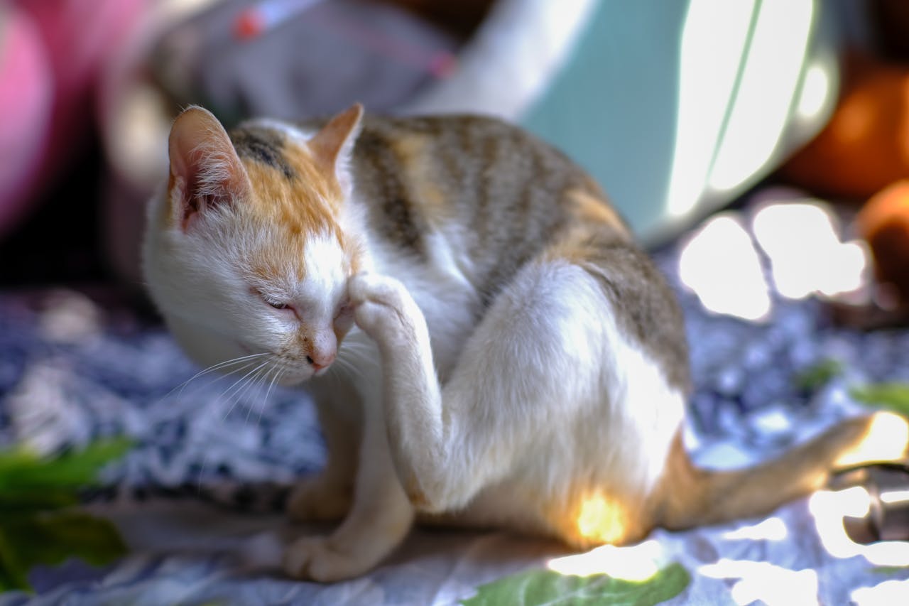 Jim Rogers lạc quan về biểu đồ giá vàng