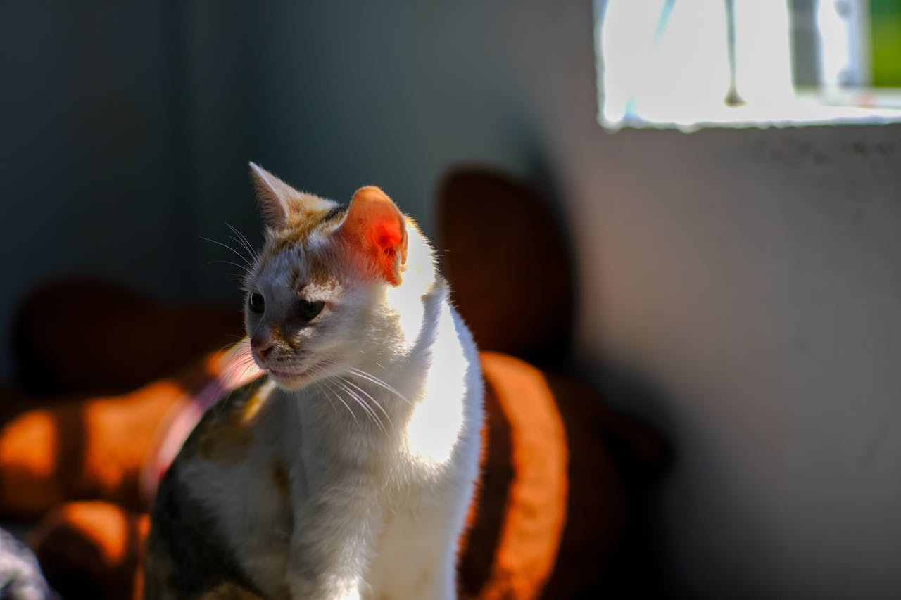 Gián điệp mạng | Chương 15