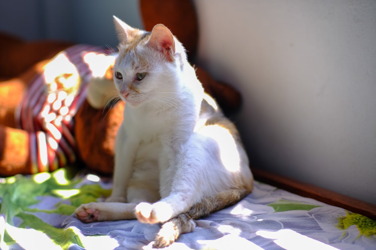 Viết bài văn nghị luận suy nghĩ về lòng dũng cảm