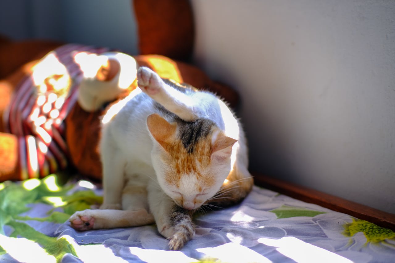 Con người là lực lượng tiến hóa mạnh mẽ nhất