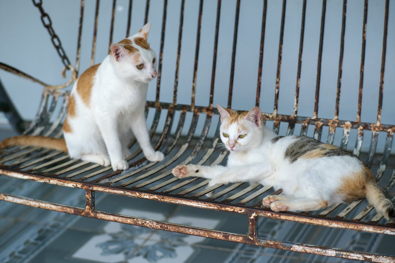 Cẩm nang du lịch Buôn Ma Thuột