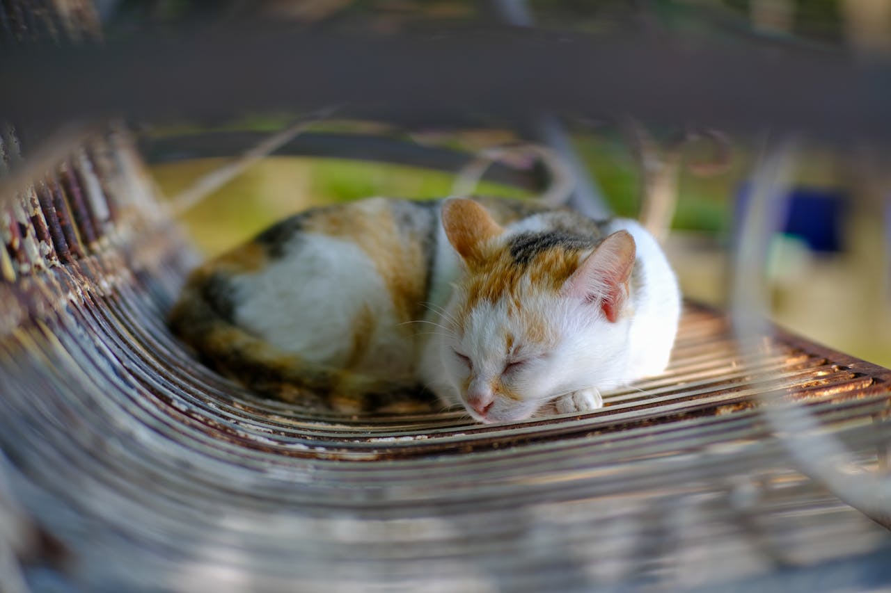 Lầm tưởng về phần mềm quản lý Spa