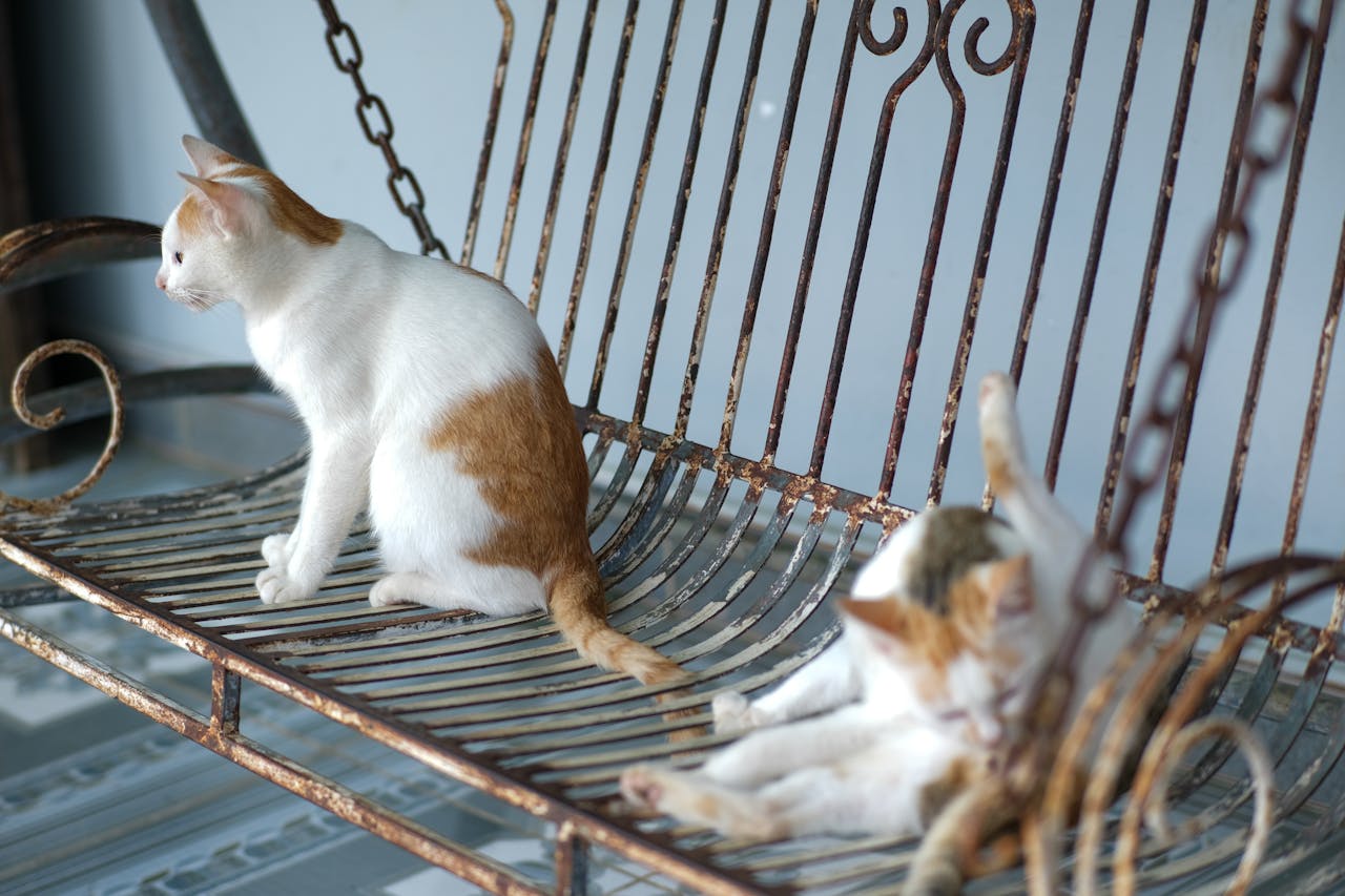 Xây dựng nhân vật trong truyện khi viết lách