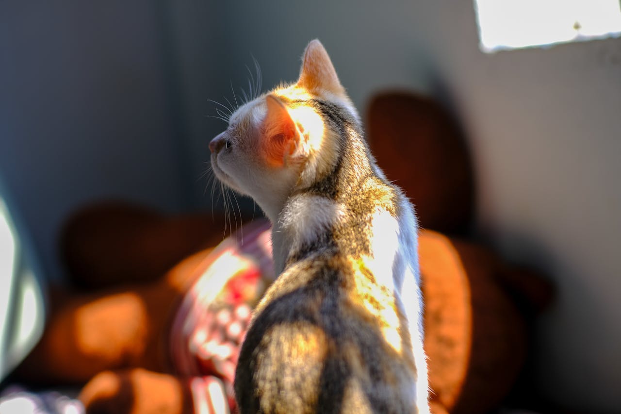 Thần điêu hiệp lữ | Chương 35