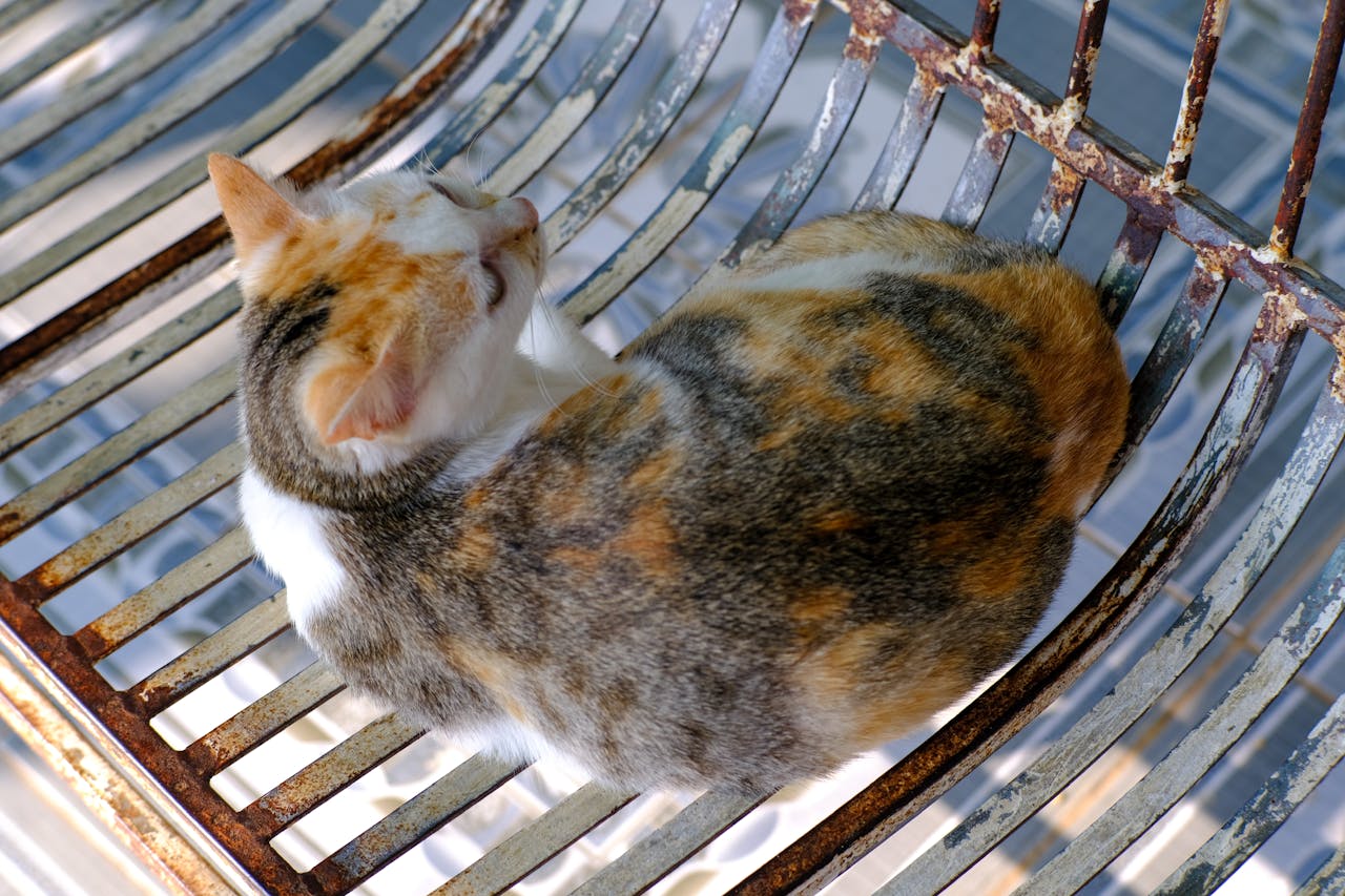 Cẩm nang du lịch Bạc Liêu