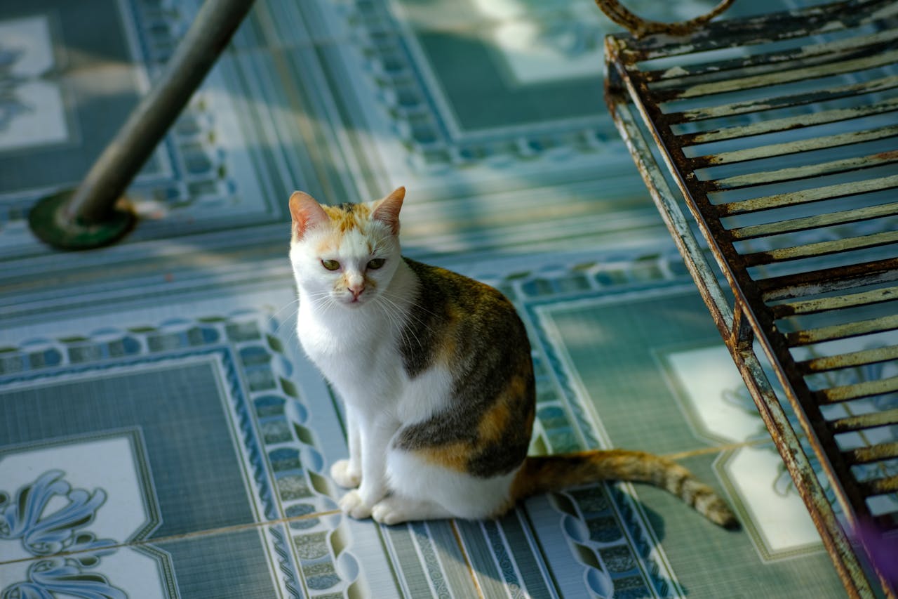 Thám tử lừng danh Conan | Chương 0898