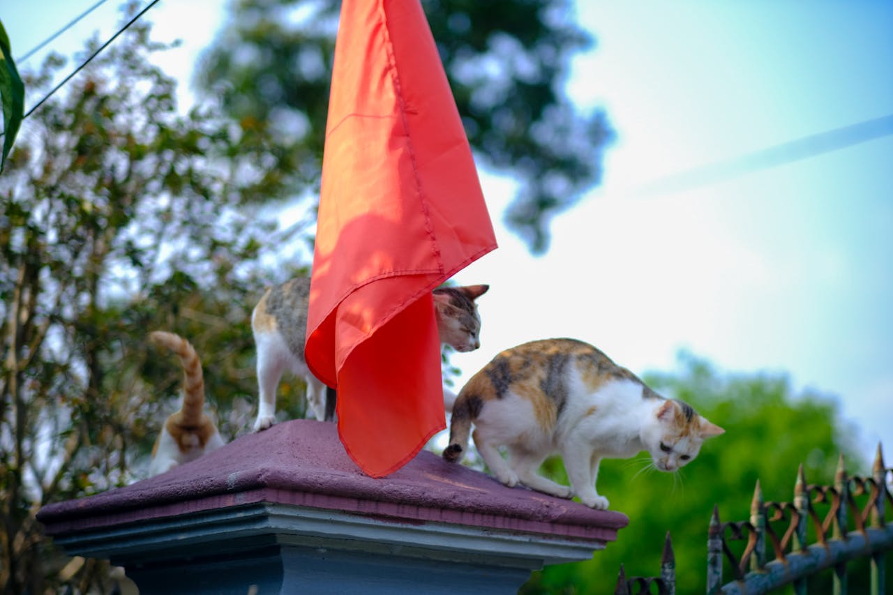 Thám tử lừng danh Conan | Chương 0759
