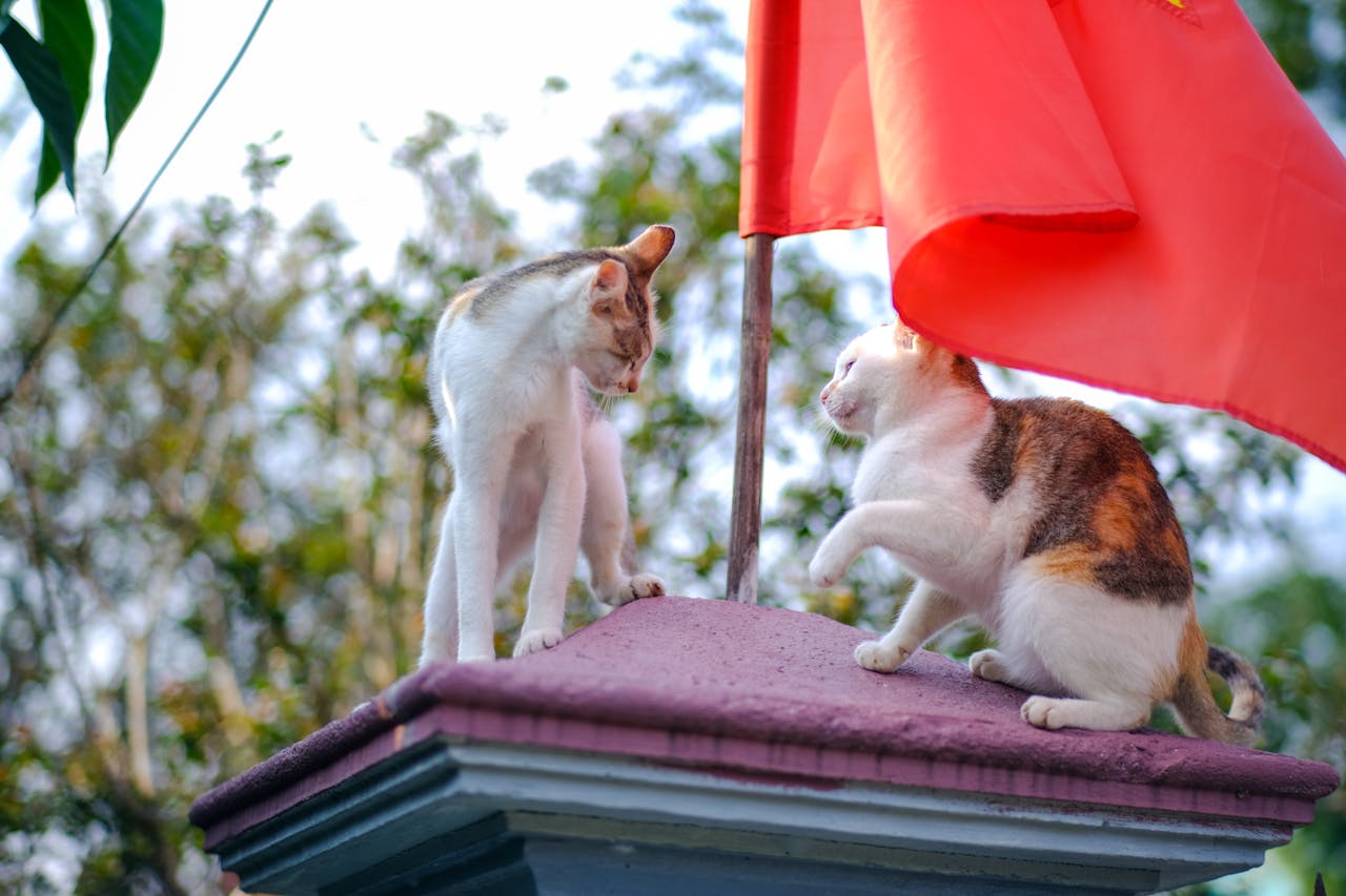 Thám tử lừng danh Conan | Chương 0106