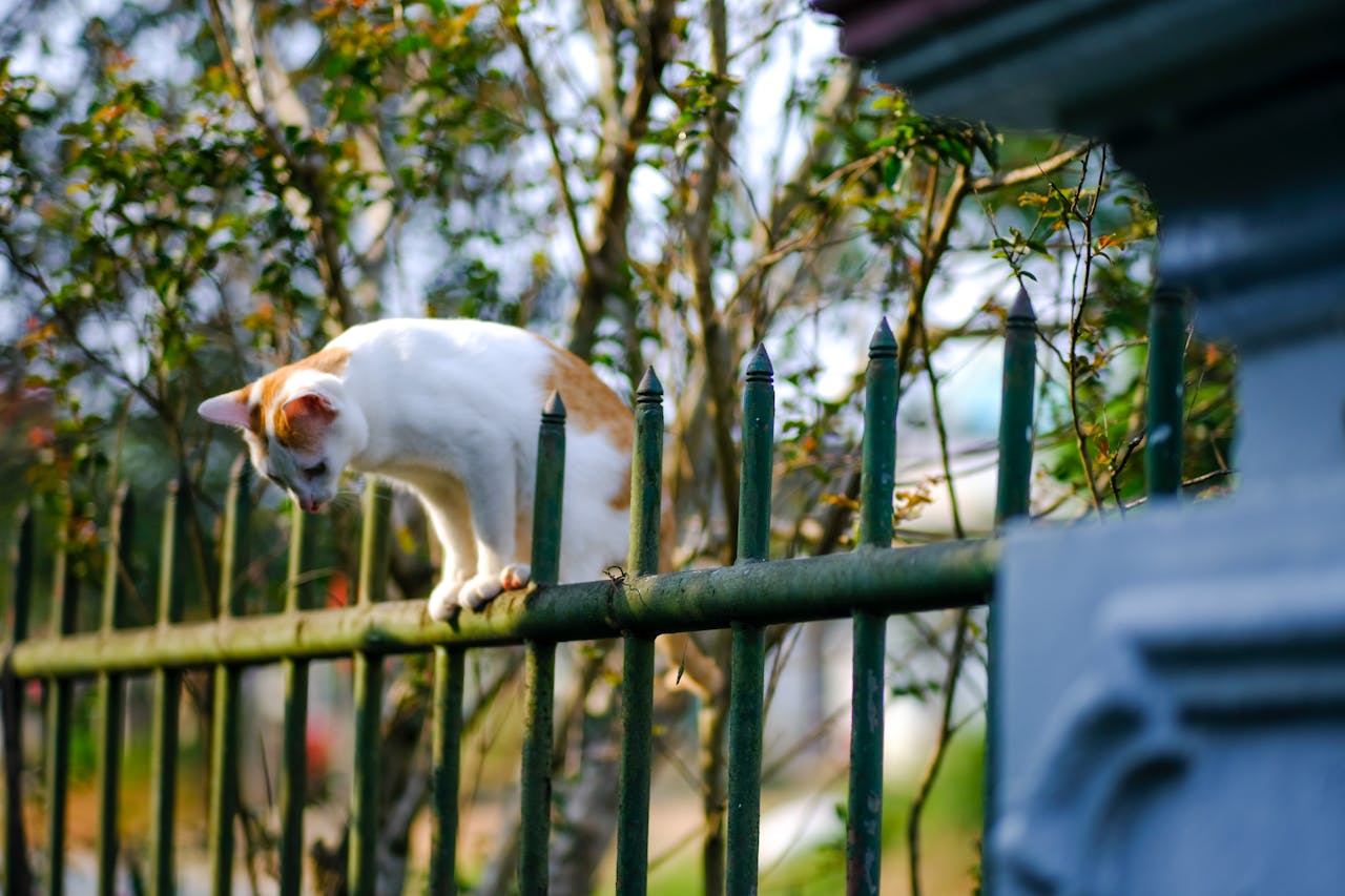 Khoa học có phải là chân lý duy nhất?