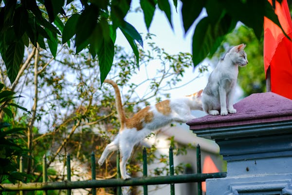 Trung tâm nghiên cứu văn học, phát triển nhà văn Việt Nam