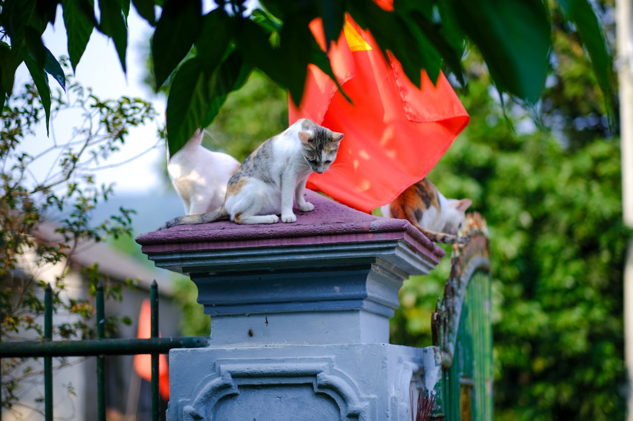 Ỷ thiên đồ long ký | Chương 25